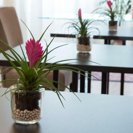 Parco Dell'Adige Rooms Verona Luaran gambar